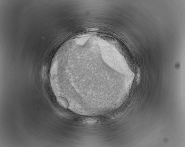 X0000116670598201001251240