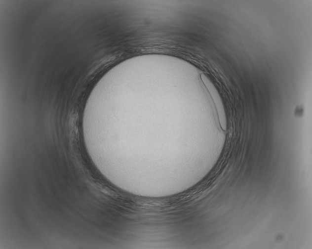 X0000116670599201001251240