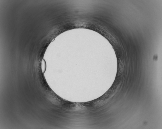 X0000116670601201001251240