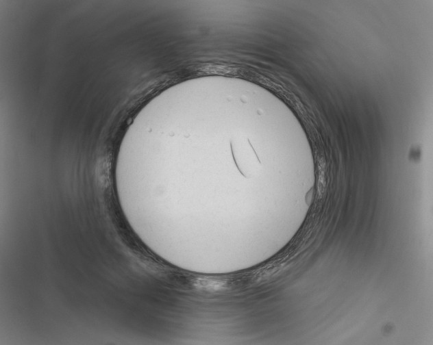 X0000116670602201001251240