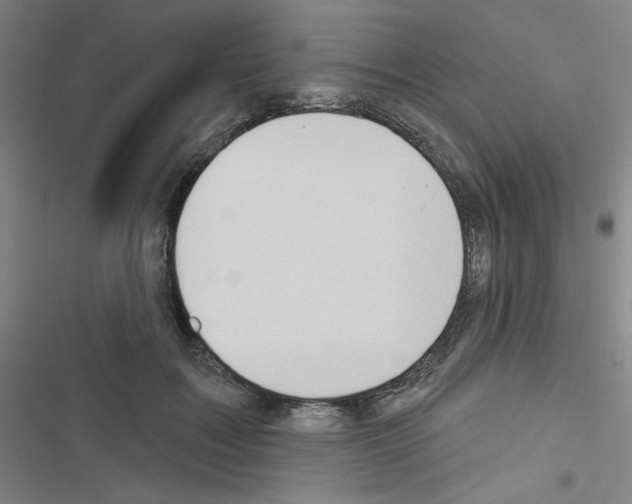 X0000116670603201001251240