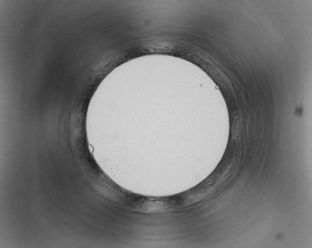 X0000116670604201001251240