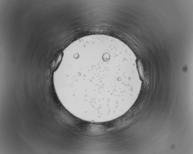 X0000116670605201001251240
