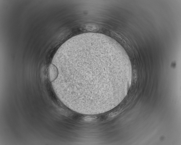 X0000116670606201001251240