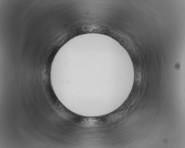 X0000116670607201001251240