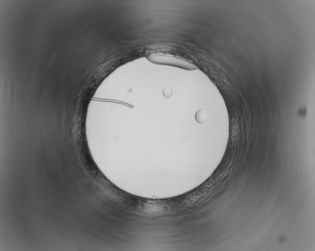 X0000116670608201001251240