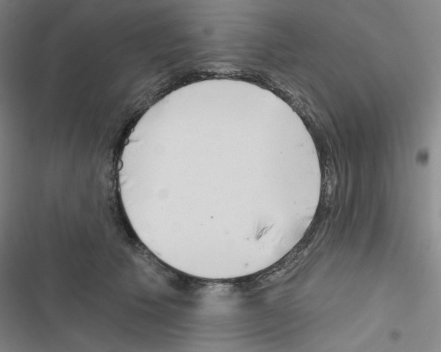 X0000116670609201001251240