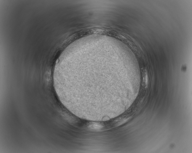 X0000116670610201001251240