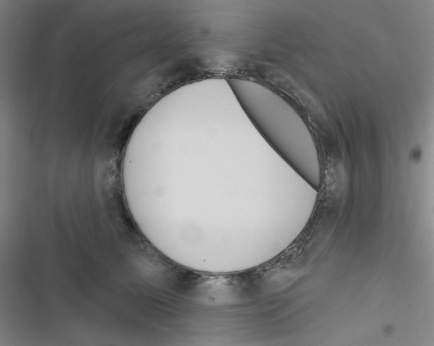 X0000116670611201001251240