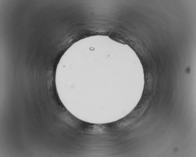 X0000116670612201001251240