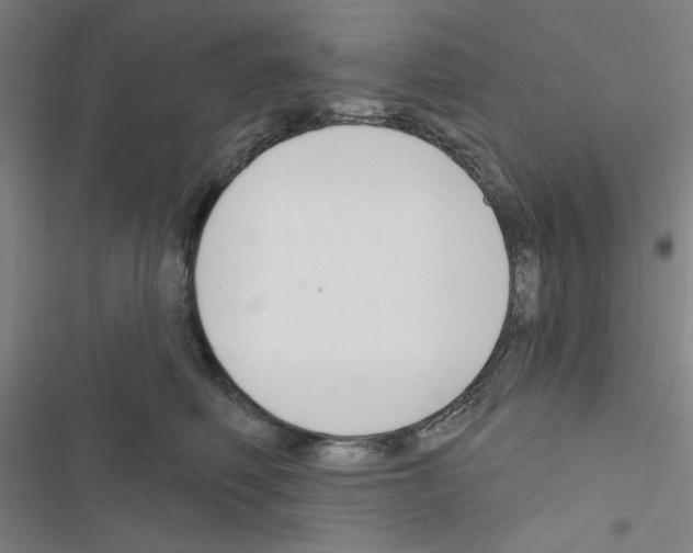 X0000116670614201001251240