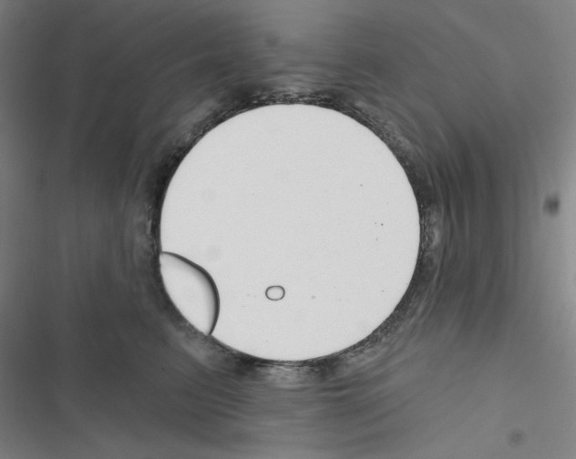 X0000116670615201001251240