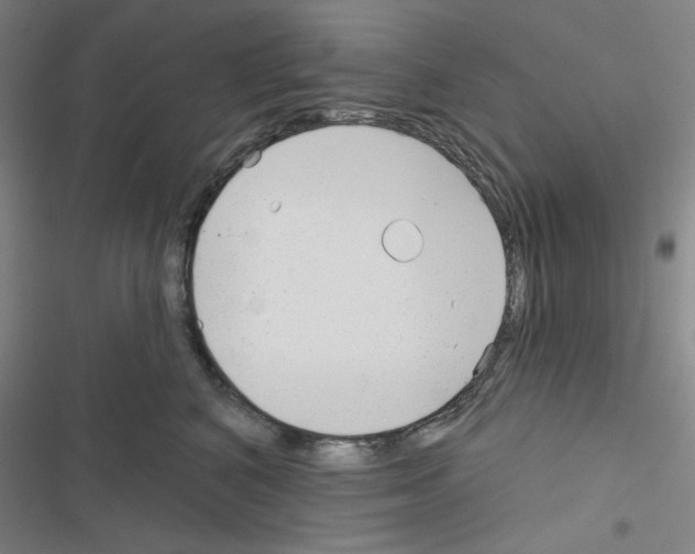 X0000116670616201001251240