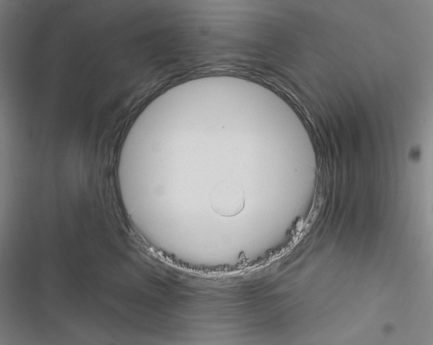 X0000116670617201001251240