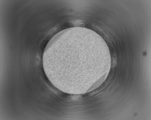 X0000116670618201001251240