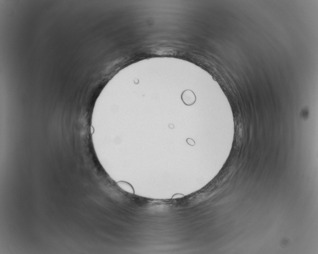 X0000116670620201001251240