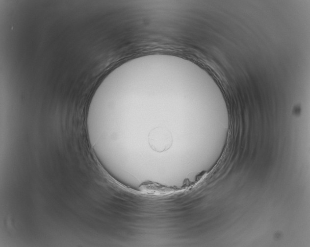 X0000116670621201001251240