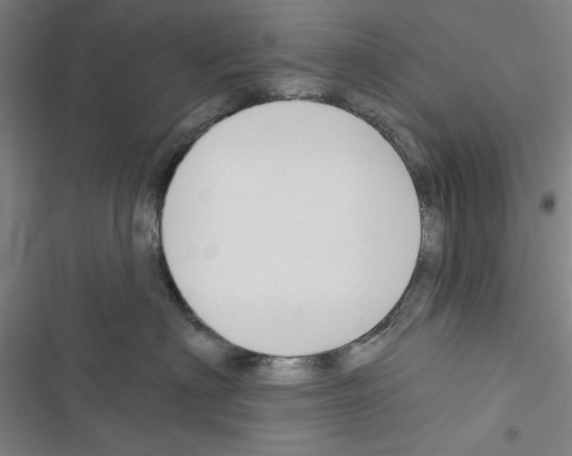 X0000116670622201001251240