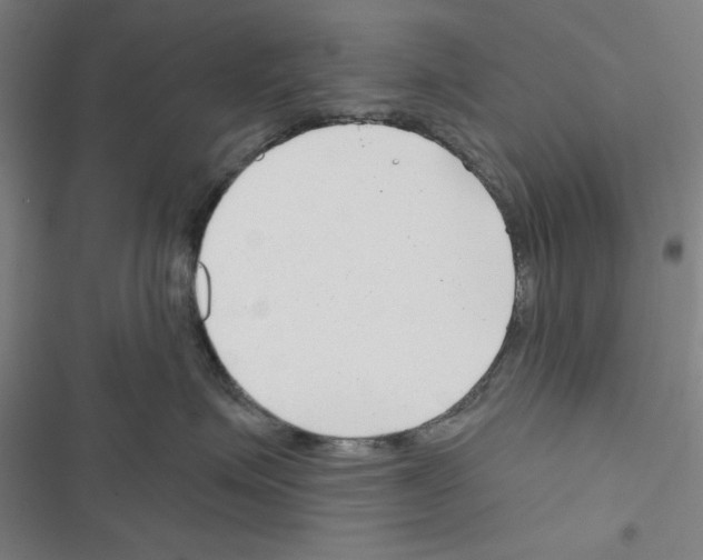 X0000116670623201001251240