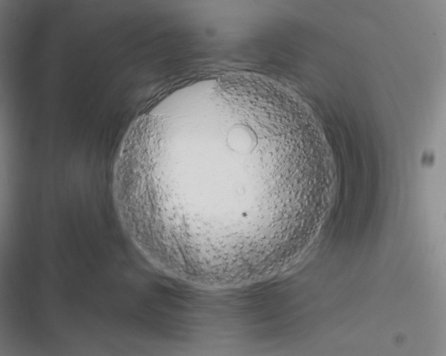 X0000116670624201001251240