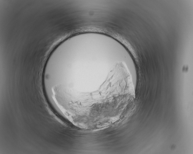 X0000116670625201001251239