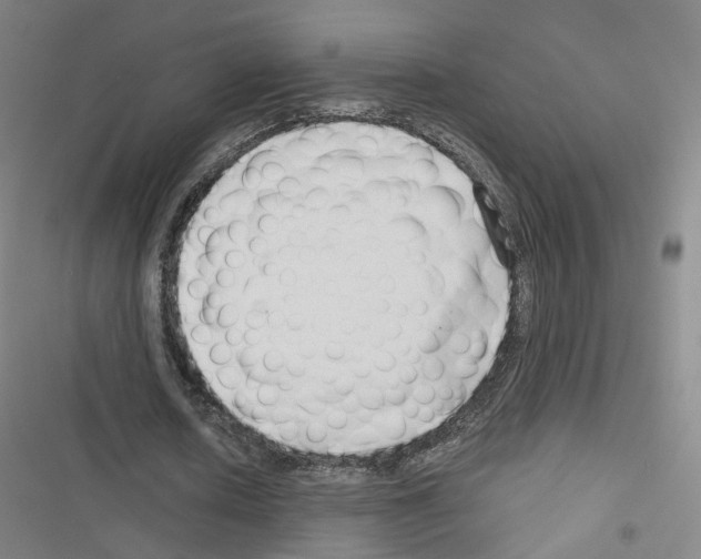 X0000116670626201001251239