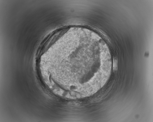 X0000116670627201001251239