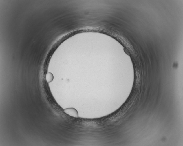 X0000116670628201001251239