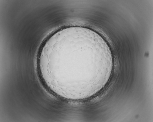 X0000116670629201001251239
