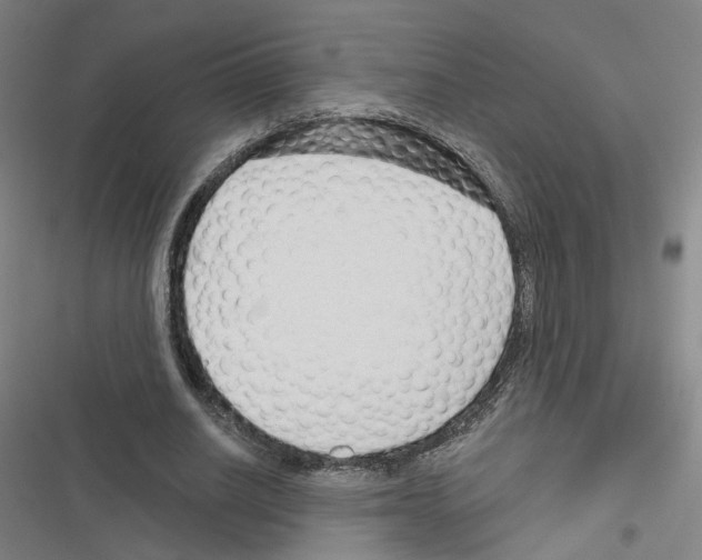 X0000116670630201001251239