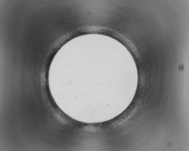 X0000116670633201001251239
