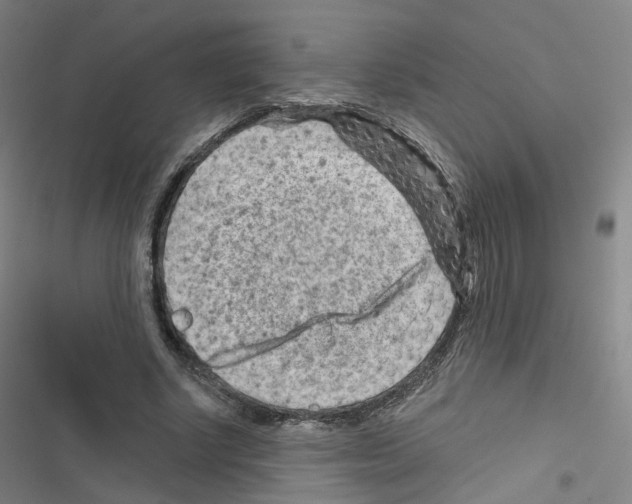 X0000116670634201001251239