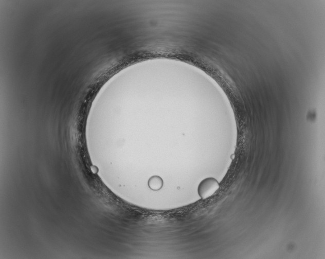 X0000116670635201001251239