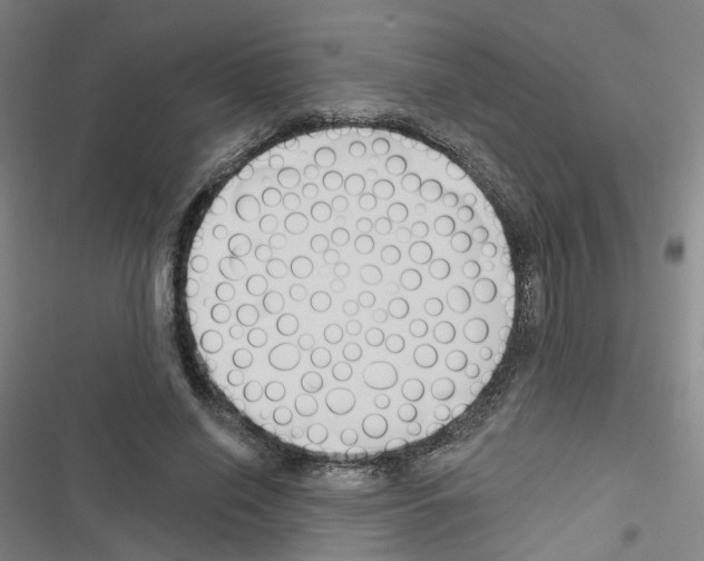 X0000116670638201001251239