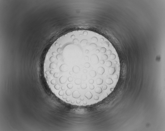 X0000116670639201001251239