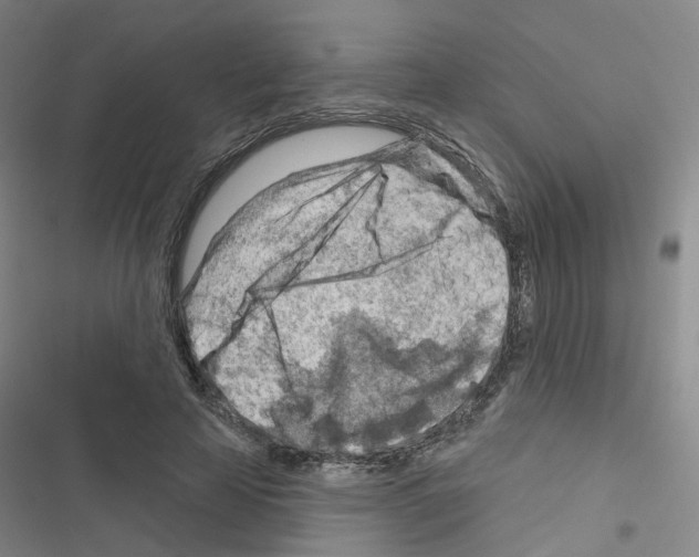 X0000116670641201001251240