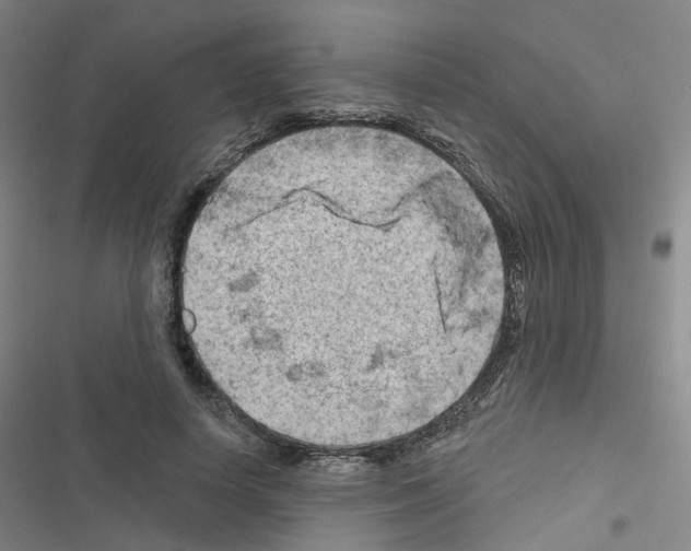 X0000116670642201001251240