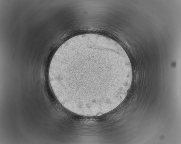 X0000116670643201001251240