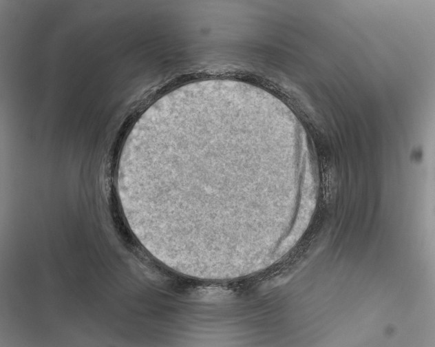 X0000116670644201001251240