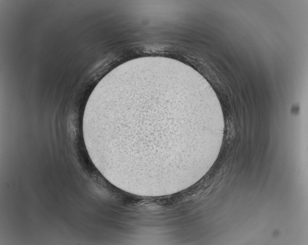 X0000116670648201001251240