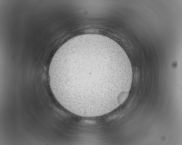 X0000116670649201001251240