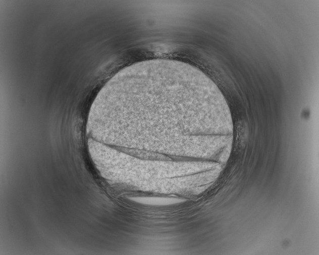 X0000116670650201001251240