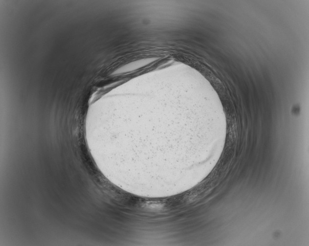 X0000116670651201001251240