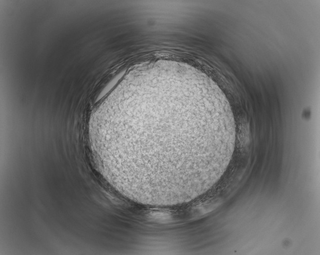 X0000116670653201001251240