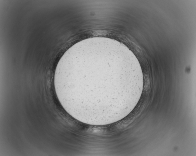 X0000116670655201001251240