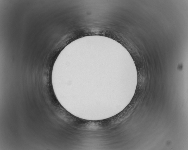 X0000116670656201001251240