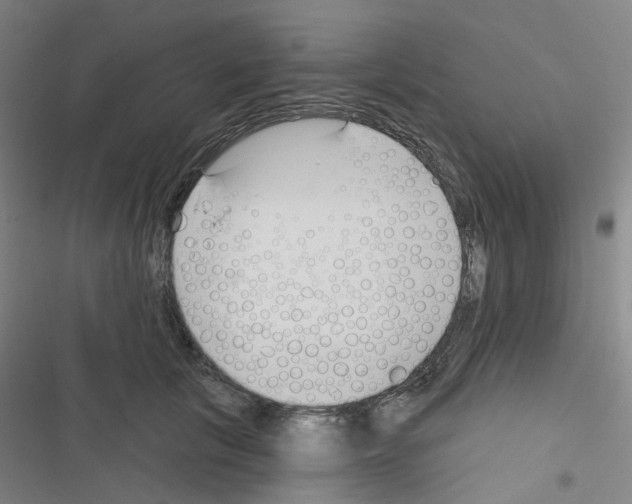 X0000116670657201001251240