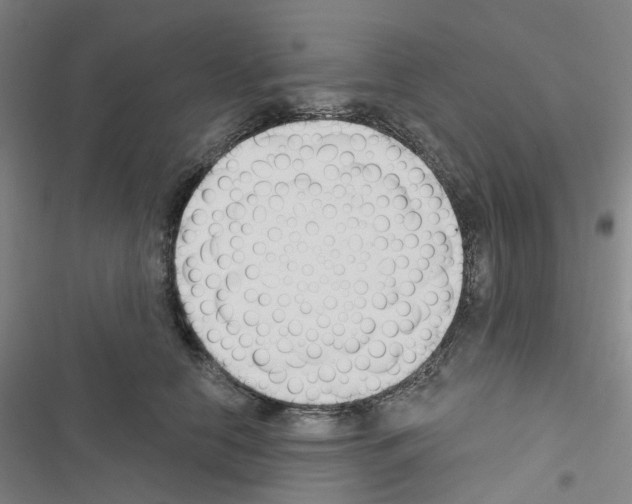 X0000116670658201001251240