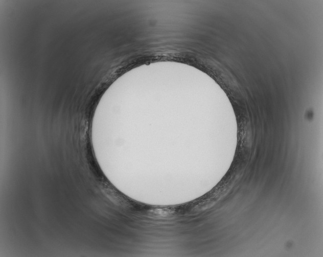 X0000116670660201001251240
