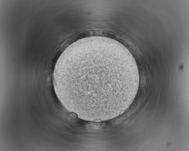 X0000116670661201001251240